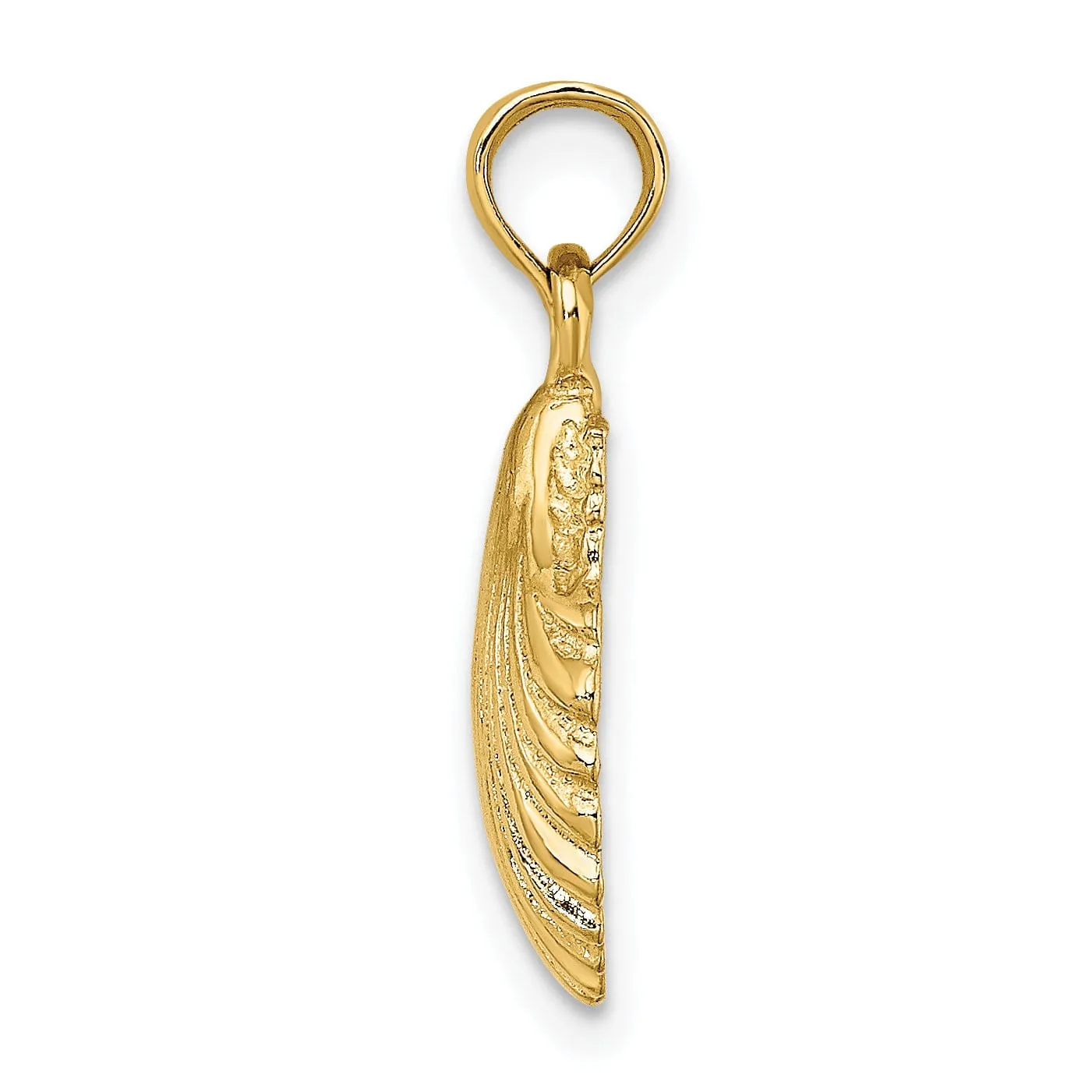 14K Yellow Gold Polished Texture Finish Sea Scallop Shell Charm Pendant