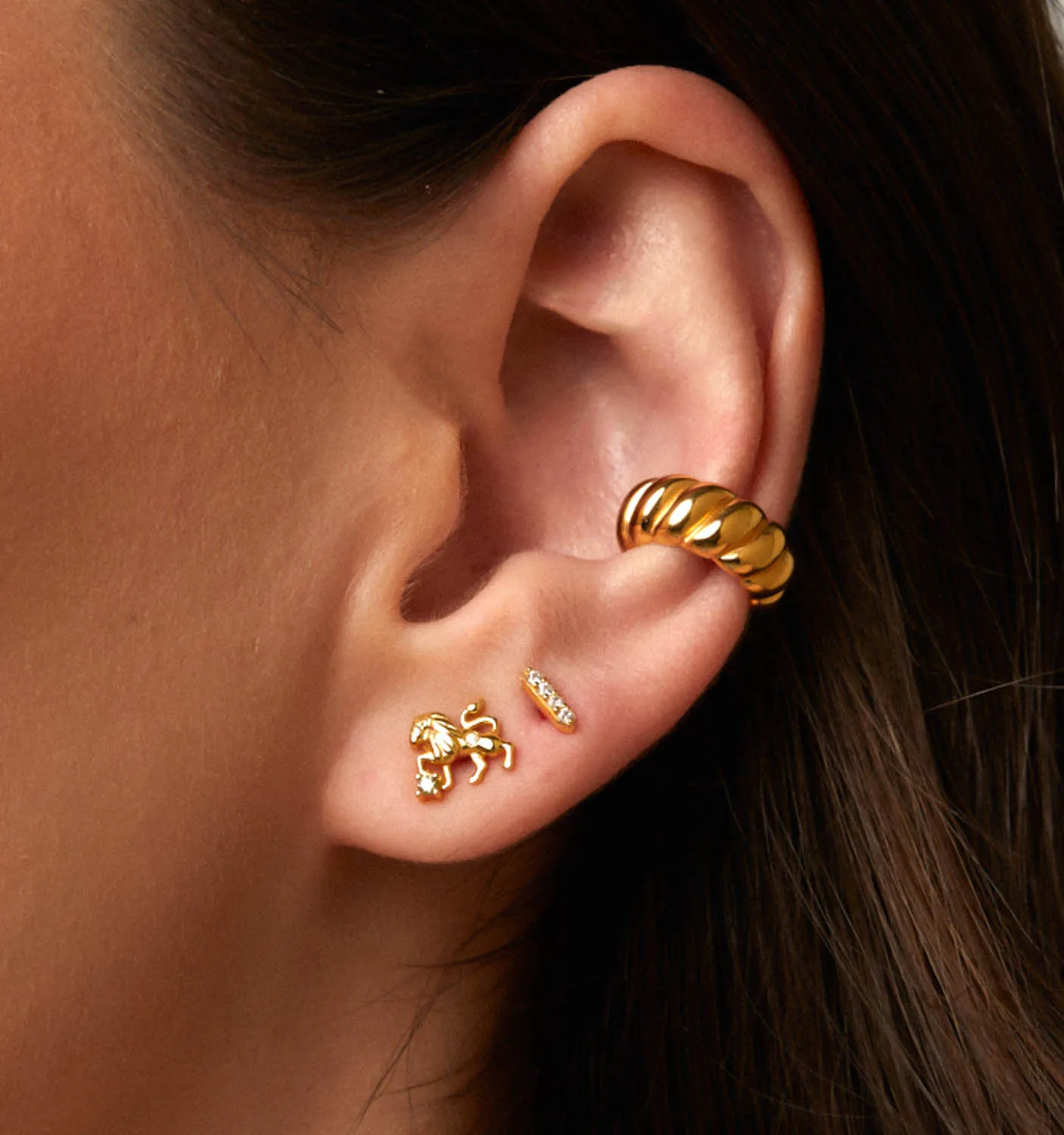 Leo Earrings